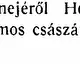 Kép